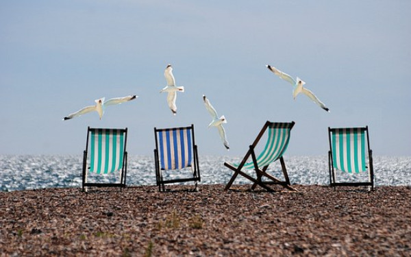 Image of four chairs on the beach with seagulls flying overhead