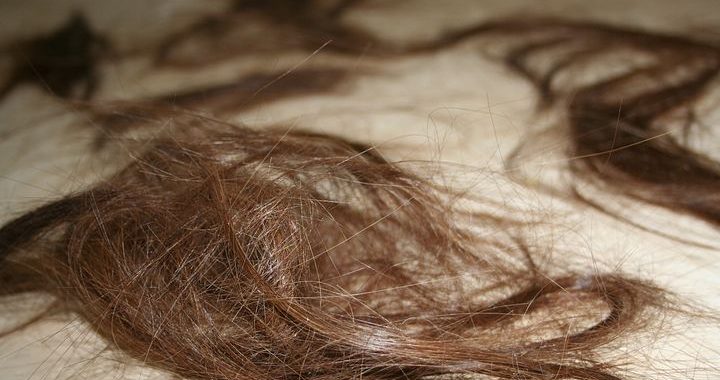 Image of strands of hair that have fallen out