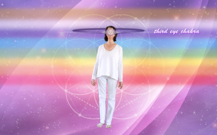 Photo of Saralee Hofrichter with the third Eye Chakra highlighted