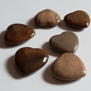 Image of six Petrified Wood Hearts