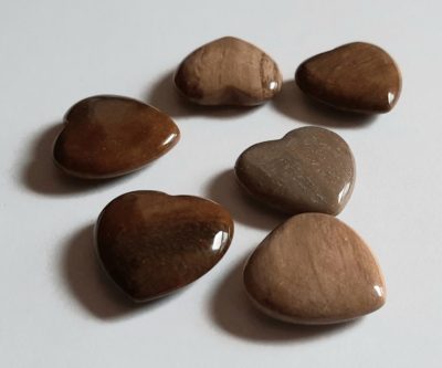 Image of six Petrified Wood Hearts