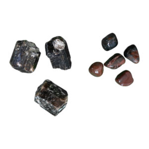 Petrified Wood