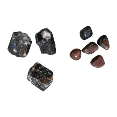 Petrified Wood