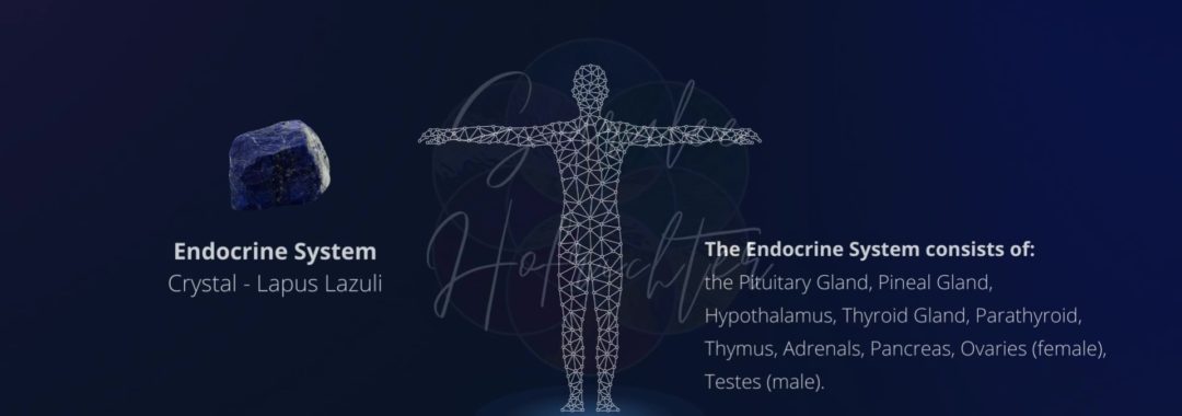 Background image of the Endocrine System with a photo of Lapis Lazuli