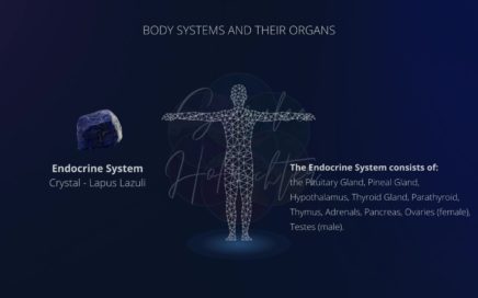 Background image of the Endocrine System with a photo of Lapis Lazuli