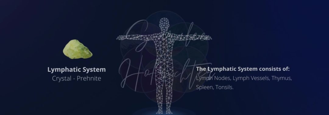 Background image of the Lymphatic System with a photo of Prehnite