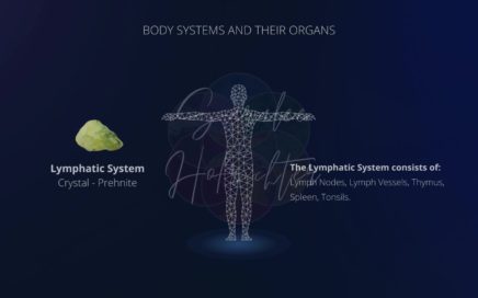 Background image of the Lymphatic System with a photo of Prehnite
