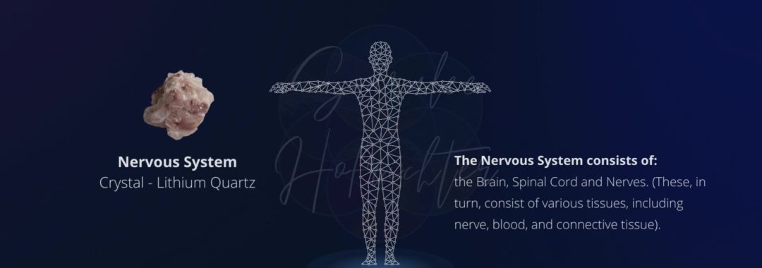 Background image of the Nervous System with a photo of Lithium Quartz