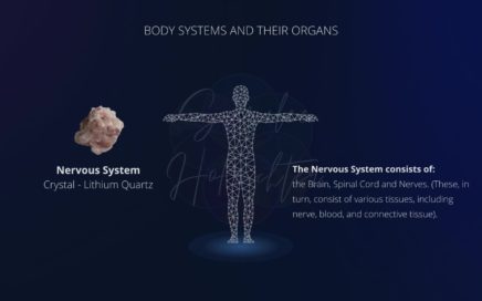 Background image of the Nervous System with a photo of Lithium Quartz