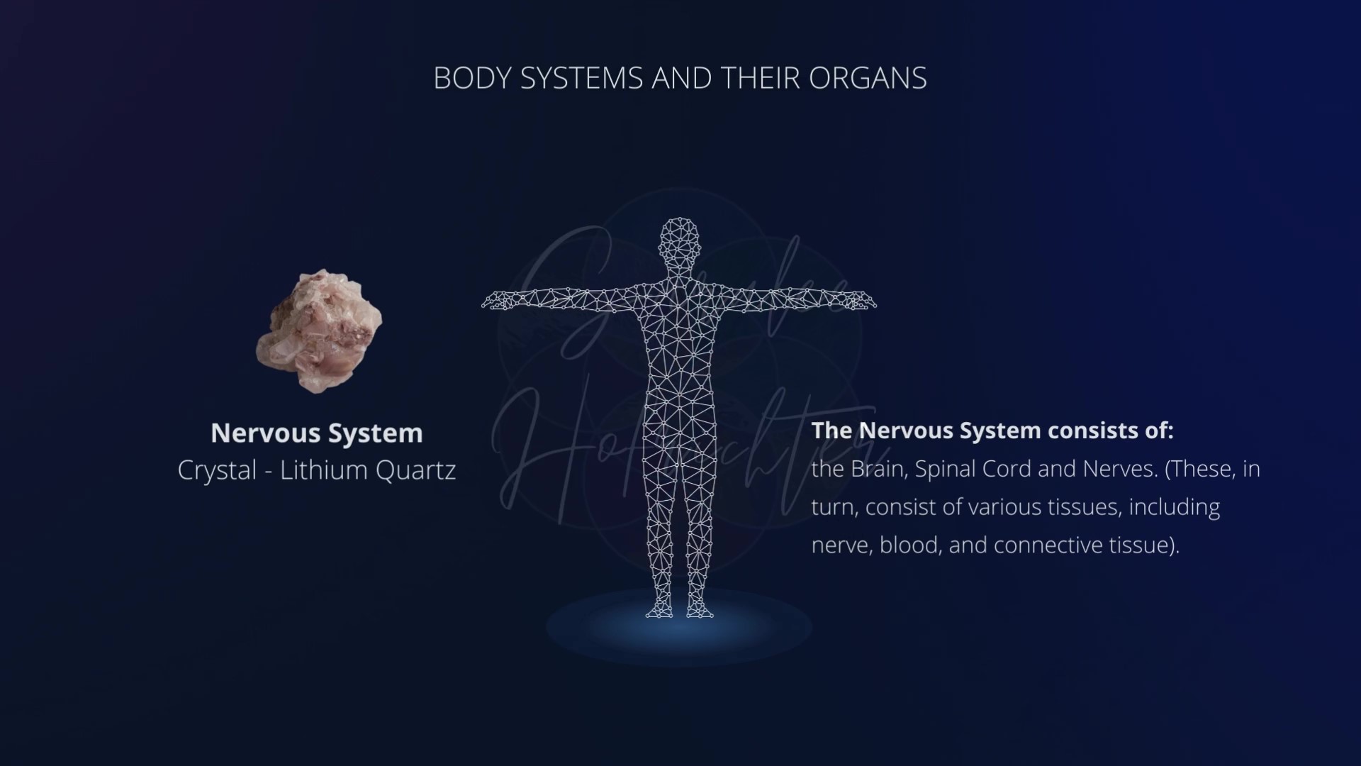 Crystal for the Nervous System Lithium Quartz Saralee Hofrichter