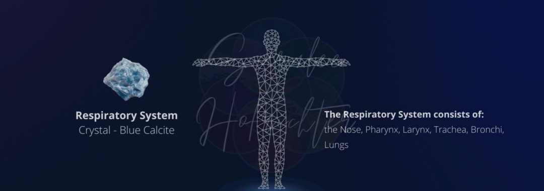 Background image of the Respiratory System with a photo of Blue Calcite