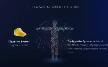 Background image of Digestive System, with a photo of Citrine crystal