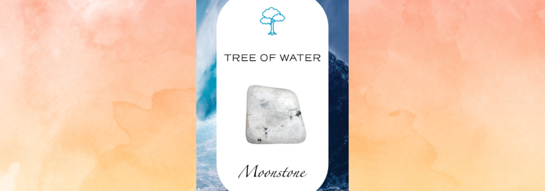 Crysatl Nature Tarot card for April Tree of Water - Moonstone
