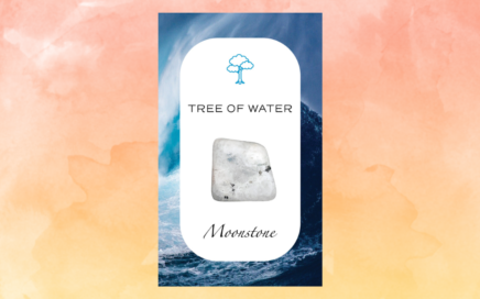 Crysatl Nature Tarot card for April Tree of Water - Moonstone