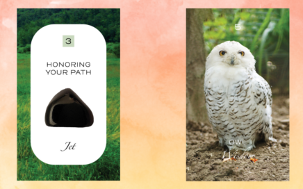 Crystal Nature Tarot Cards 3 Earth and 5 Owl