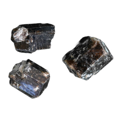 Petrified Wood - Image 3