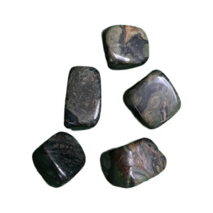 Kambaba Jasper