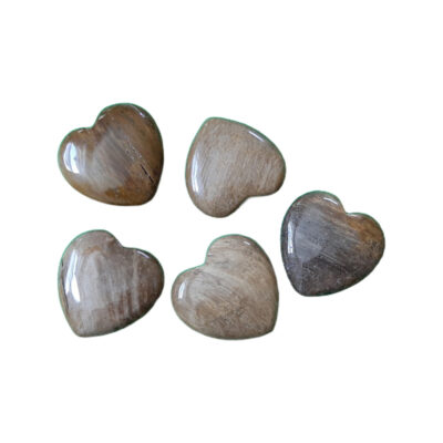 Petrified Wood Hearts